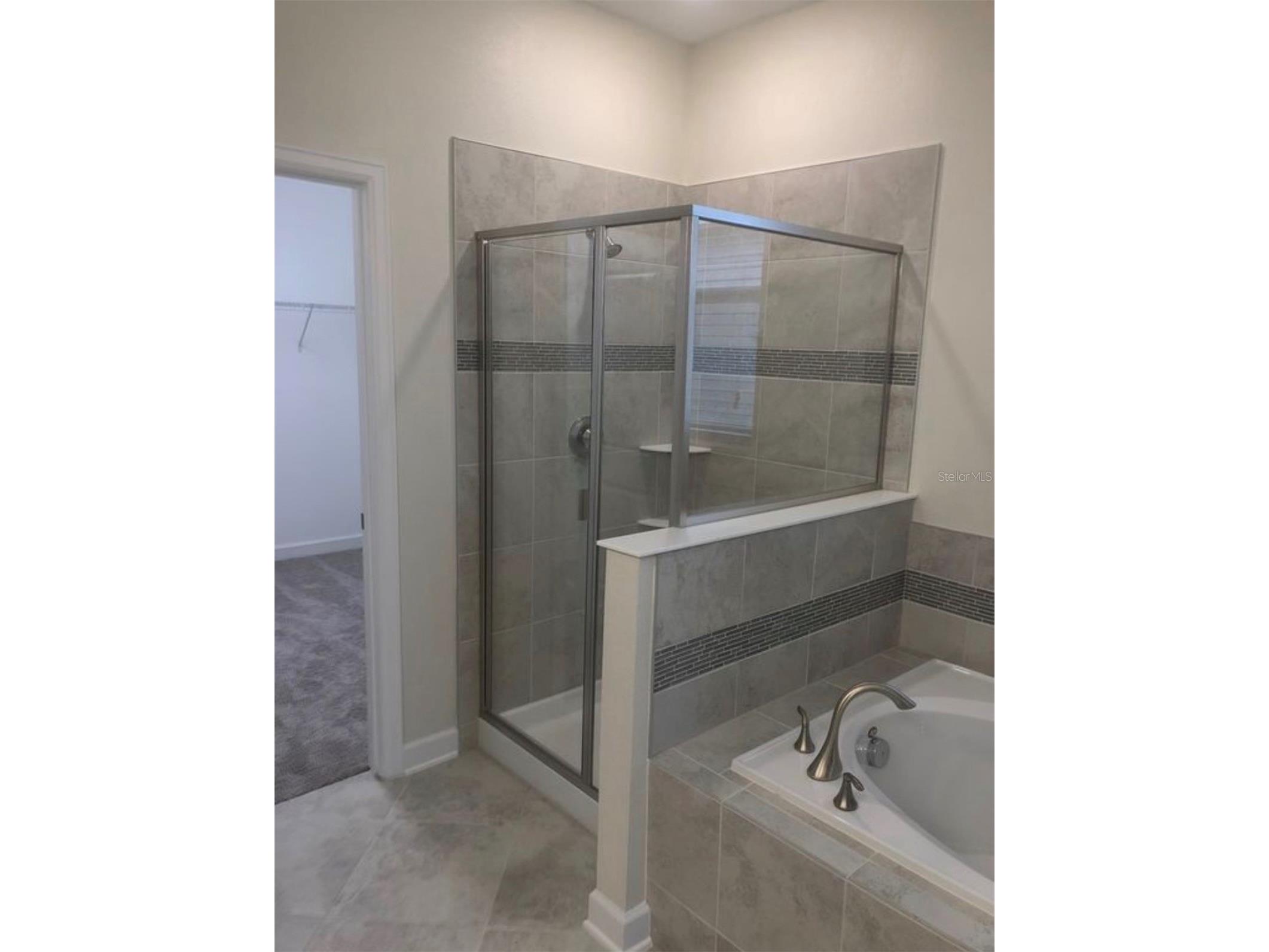 10229 Lovegrass Lane Orlando FL 32832 O6386139 image18