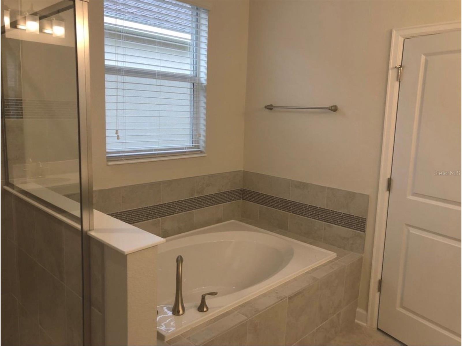 10229 Lovegrass Lane Orlando FL 32832 O6386139 image19