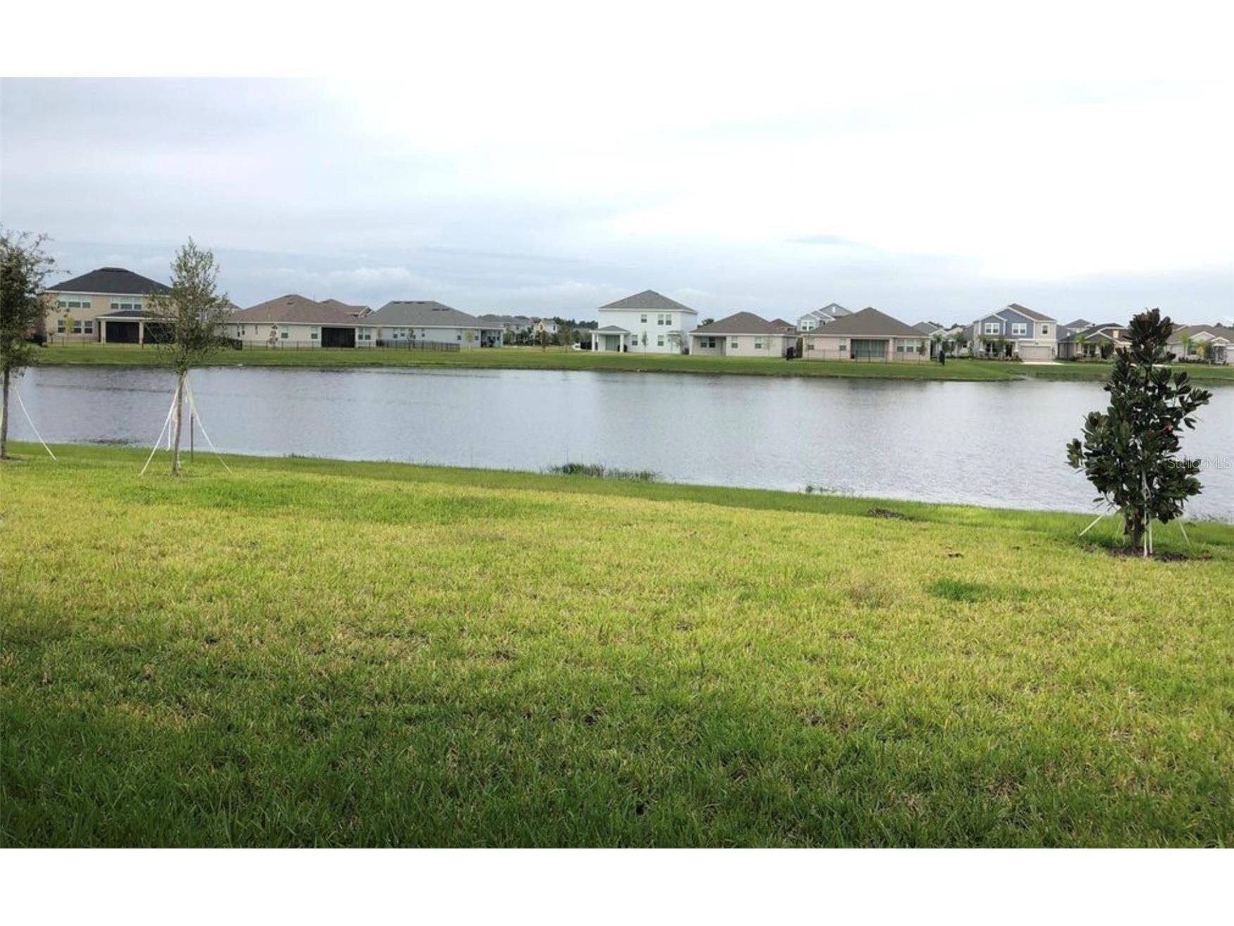 10229 Lovegrass Lane Orlando FL 32832 O6386139 image4