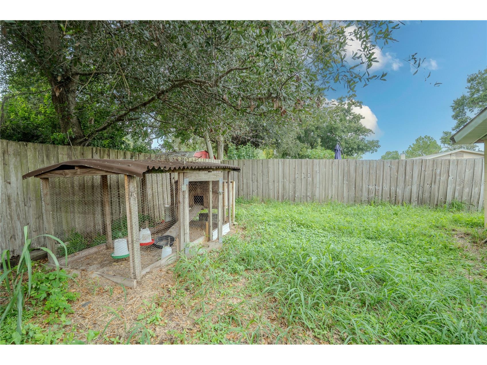 1023 Biltmore Drive Winter Haven FL 33881 - LAKE JESSIE P4936398 image20