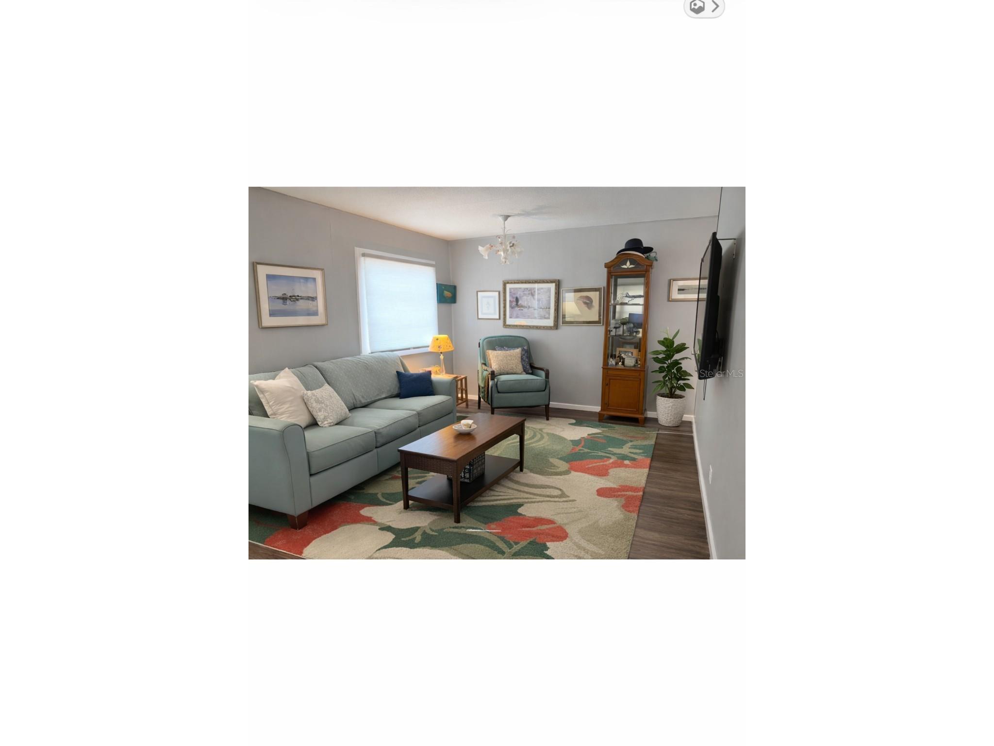 1023 Capella Drive Tavares FL 32778 G5109539 image8