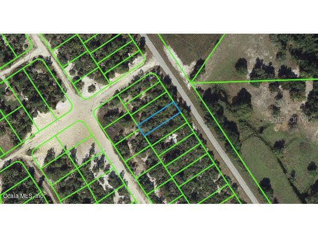 1023 Cr 29 Lake Placid FL 33852 OM542124 image1