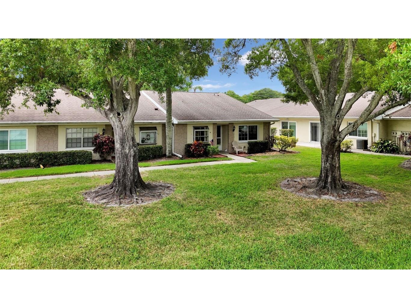 1023 Dunrobin Drive #D Palm Harbor FL 34684 T3534074 image1