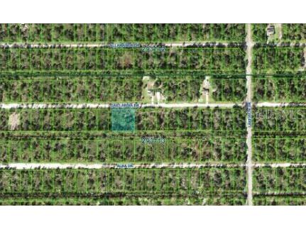 1023 Gallardia Drive Indian Lake Estates FL 33855 O6312418 image2