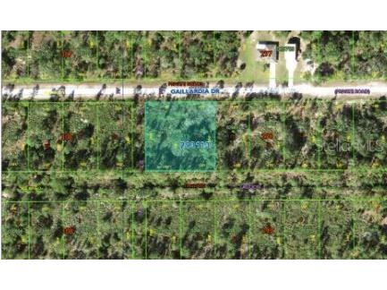 1023 Gallardia Drive Indian Lake Estates FL 33855 O6312418 image3