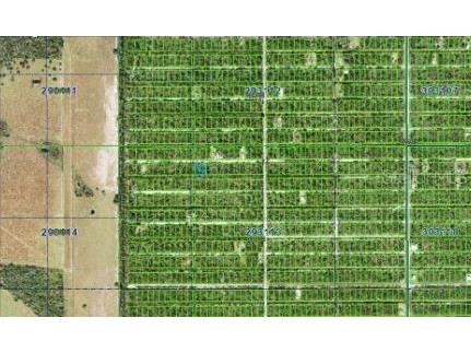 1023 Gallardia Drive Indian Lake Estates FL 33855 O6312418 image4