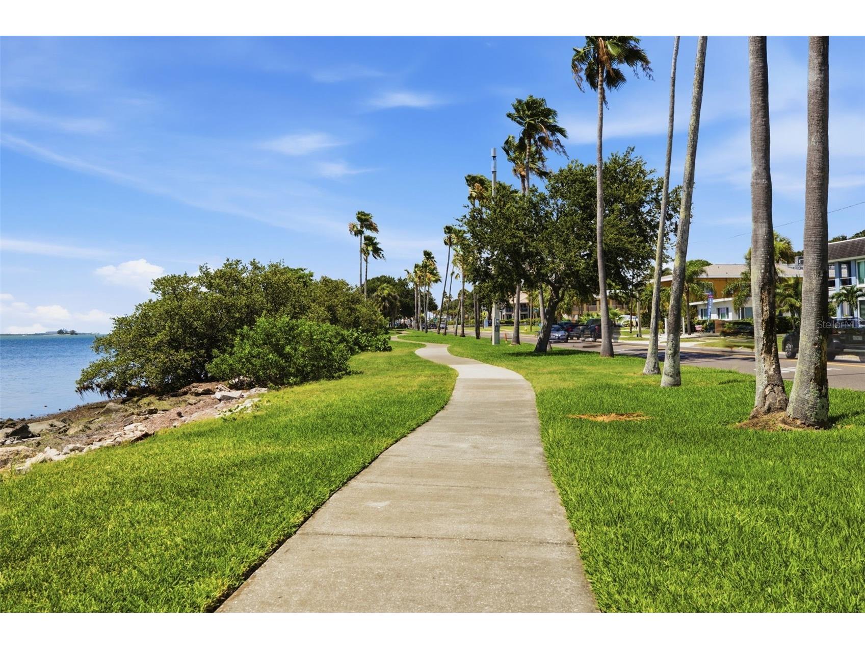 1023 Granada Street Clearwater FL 33755 TB8523653 image37