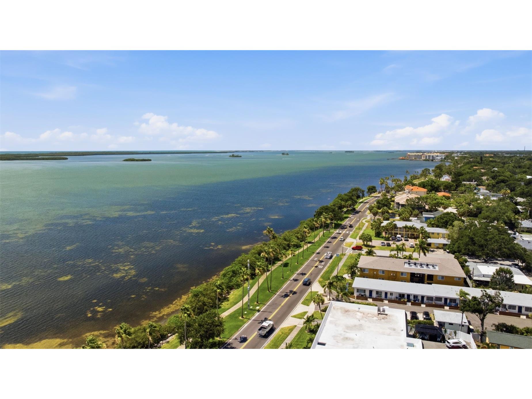 1023 Granada Street Clearwater FL 33755 TB8523653 image49