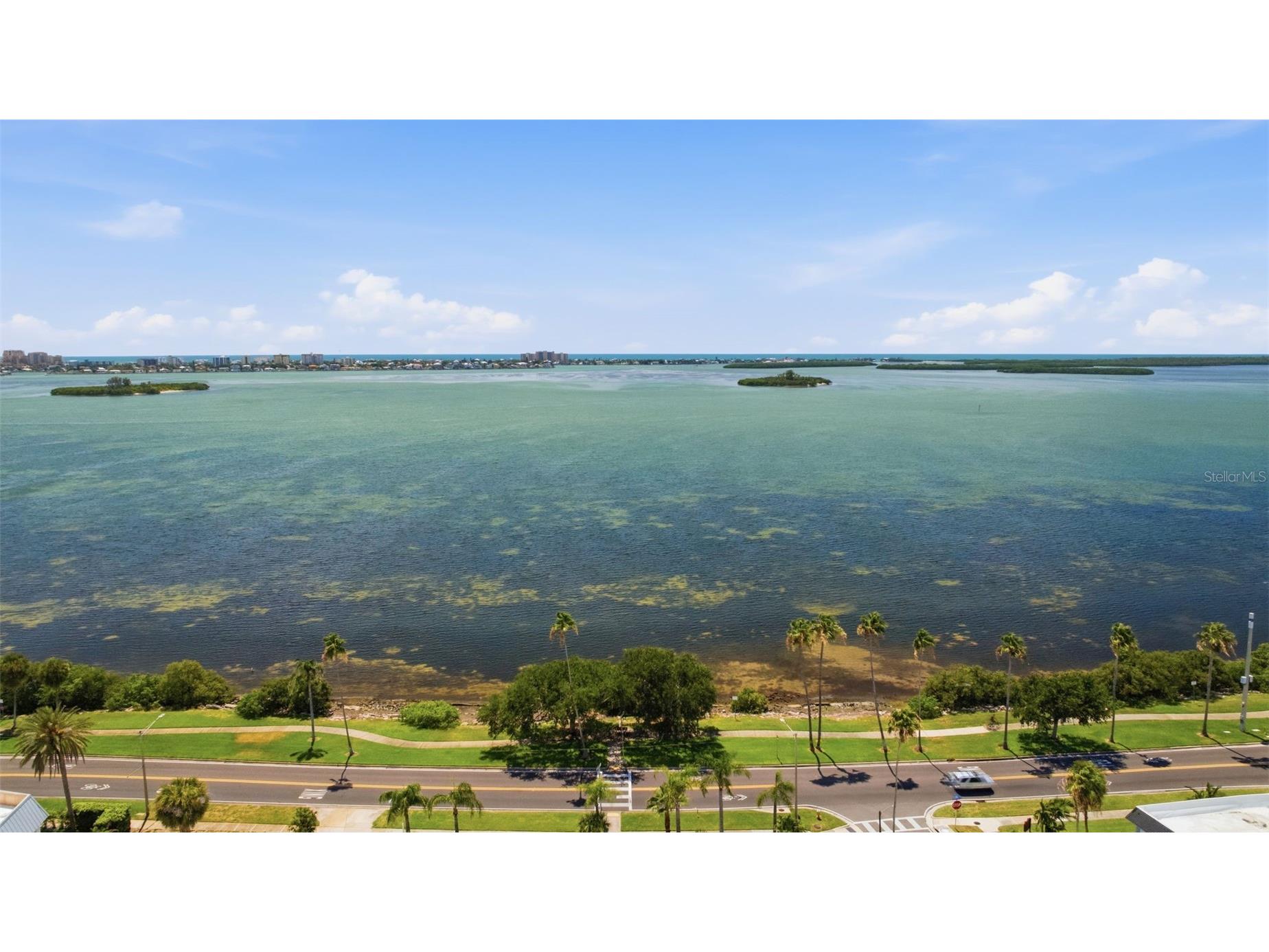 1023 Granada Street Clearwater FL 33755 TB8523653 image53
