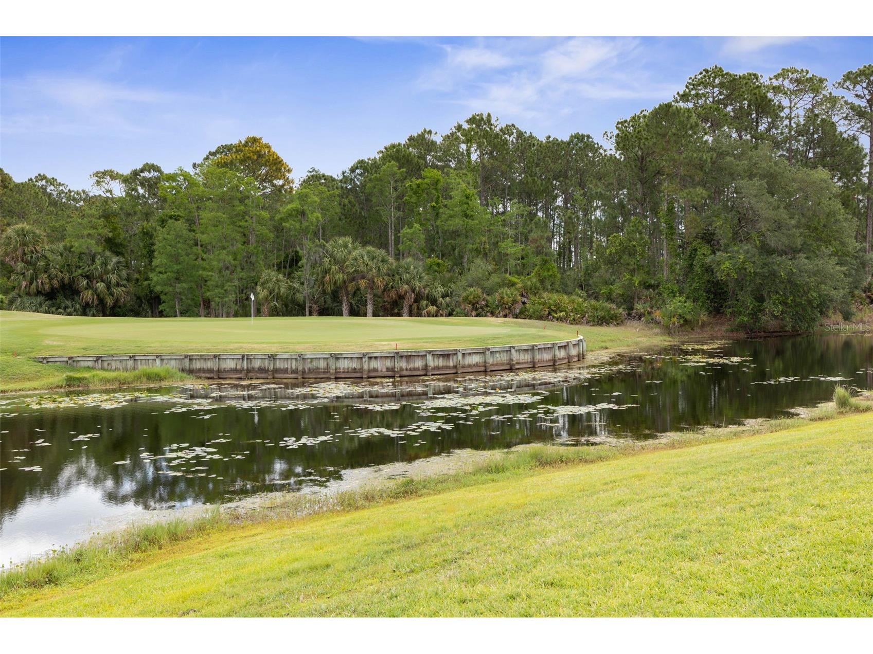 1023 Hampstead Lane Ormond Beach FL 32174 FC318209 image66