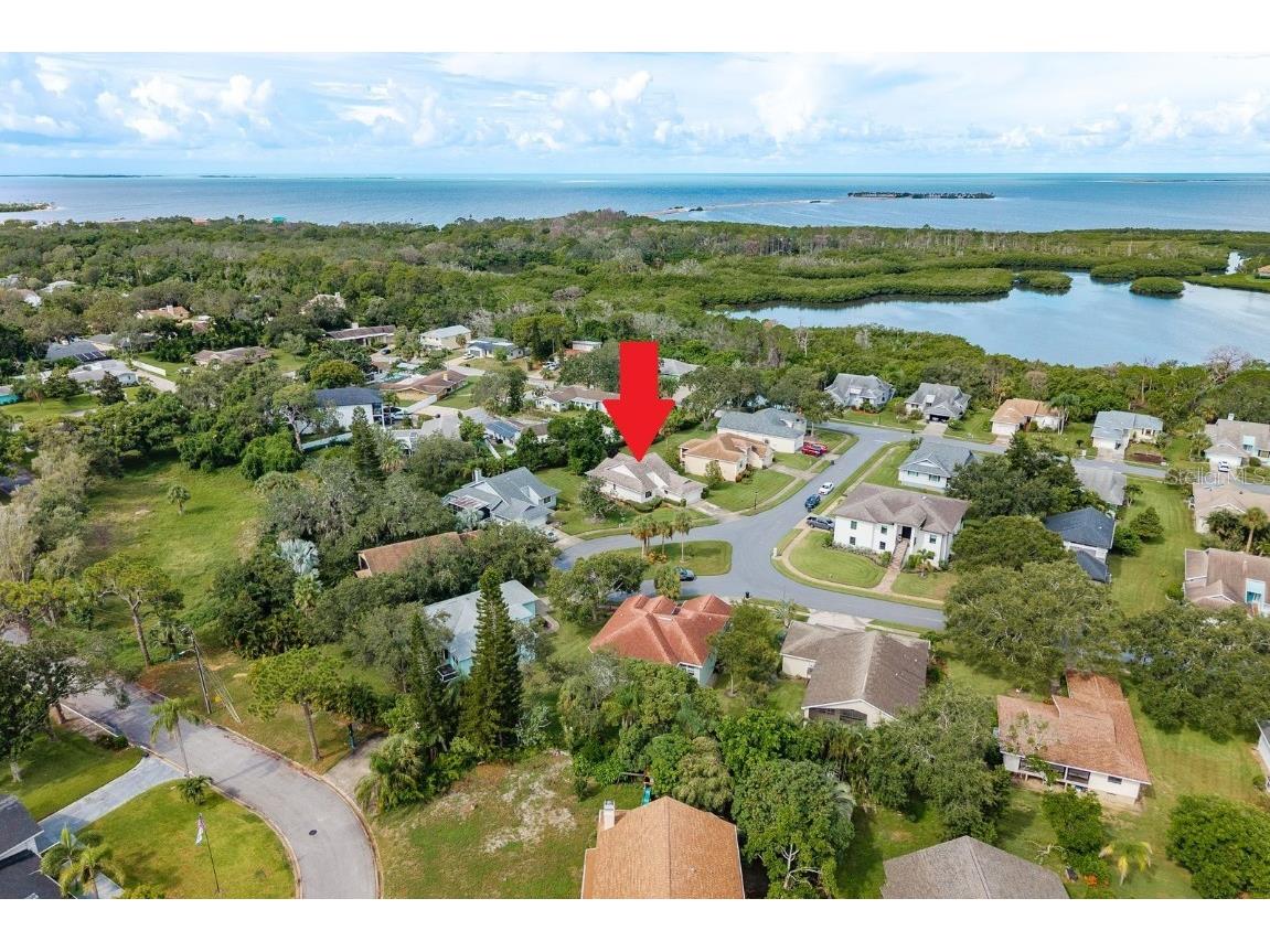 1023 Lake Avoca Place Tarpon Springs FL 34689 TB8416534 image27