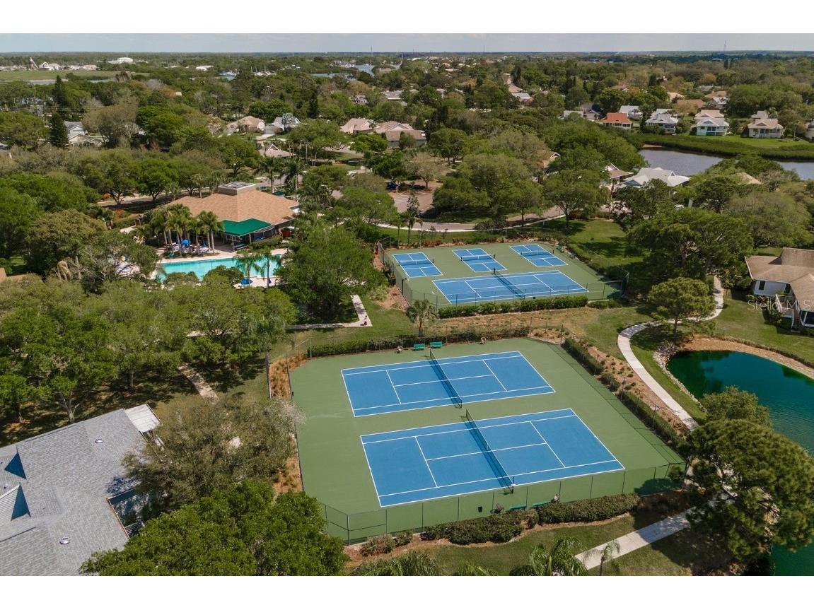 1023 Lake Avoca Place Tarpon Springs FL 34689 TB8416534 image28