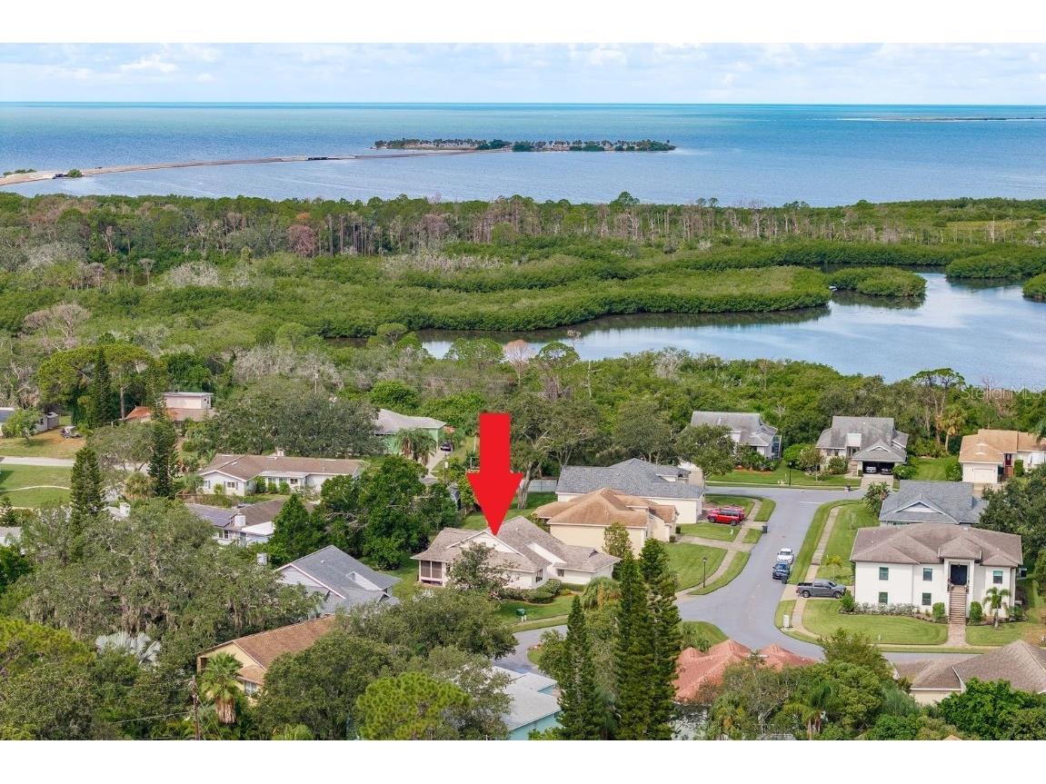 1023 Lake Avoca Place Tarpon Springs FL 34689 TB8416534 image3