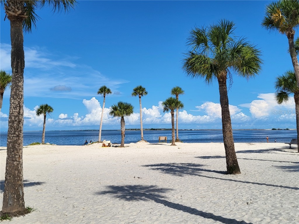 1023 Lake Avoca Place Tarpon Springs FL 34689 TB8416534 image35