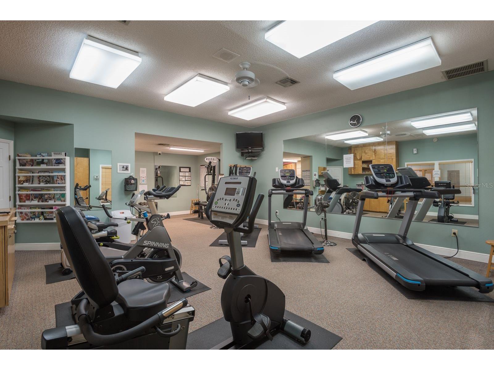 1023 Lake Avoca Place Tarpon Springs FL 34689 TB8416534 image37