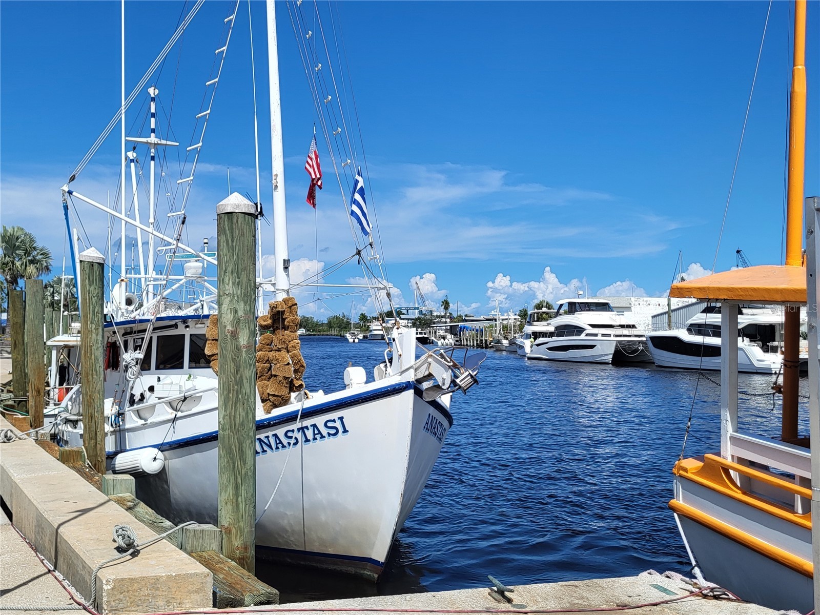 1023 Lake Avoca Place Tarpon Springs FL 34689 TB8416534 image39