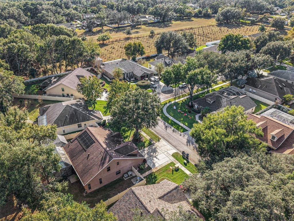 1023 Legends Pass Drive Valrico FL 33594 TB8452919 image32