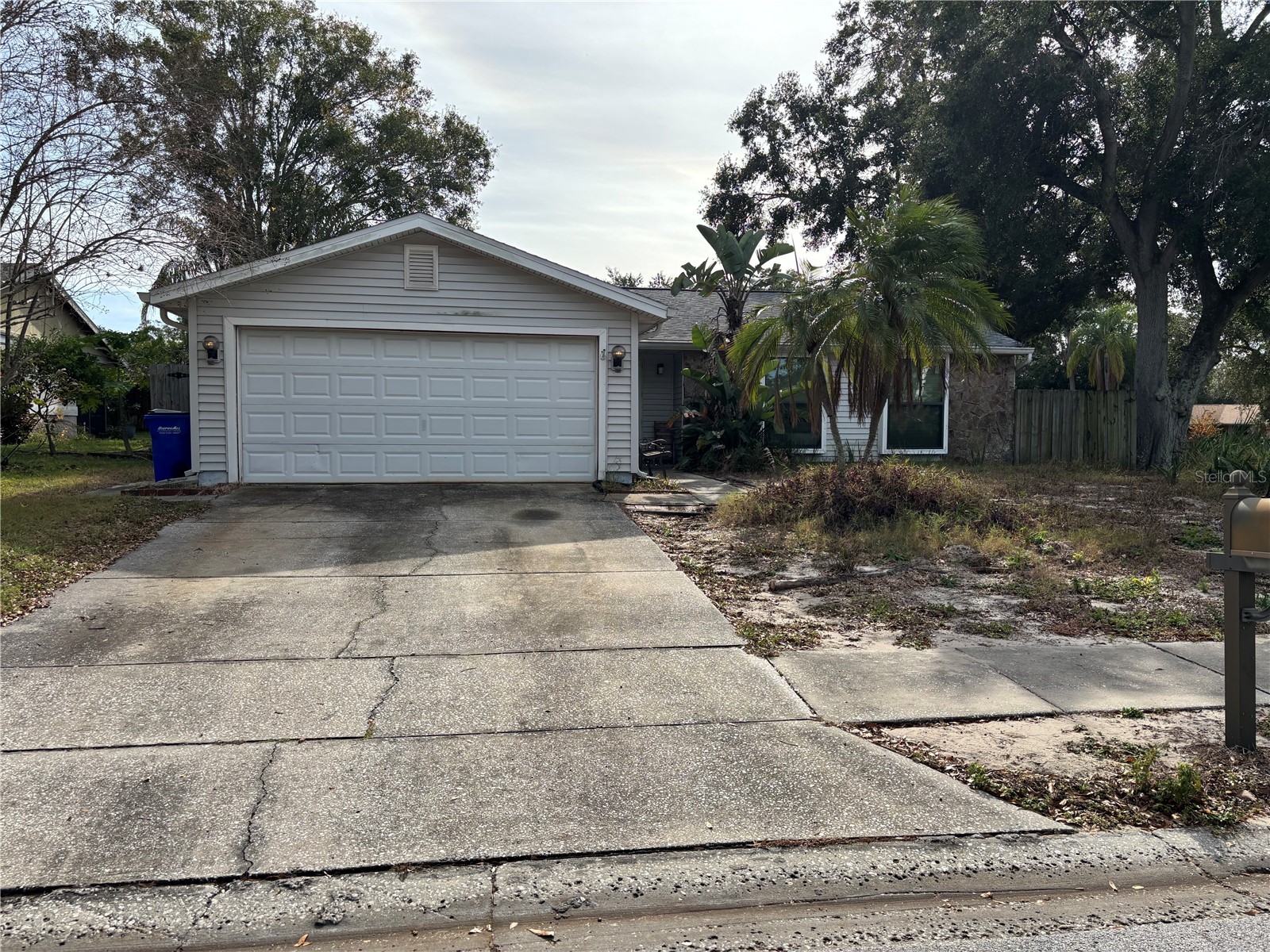 1023 Mineola Circle Palm Harbor FL 34683 W7881484 image1