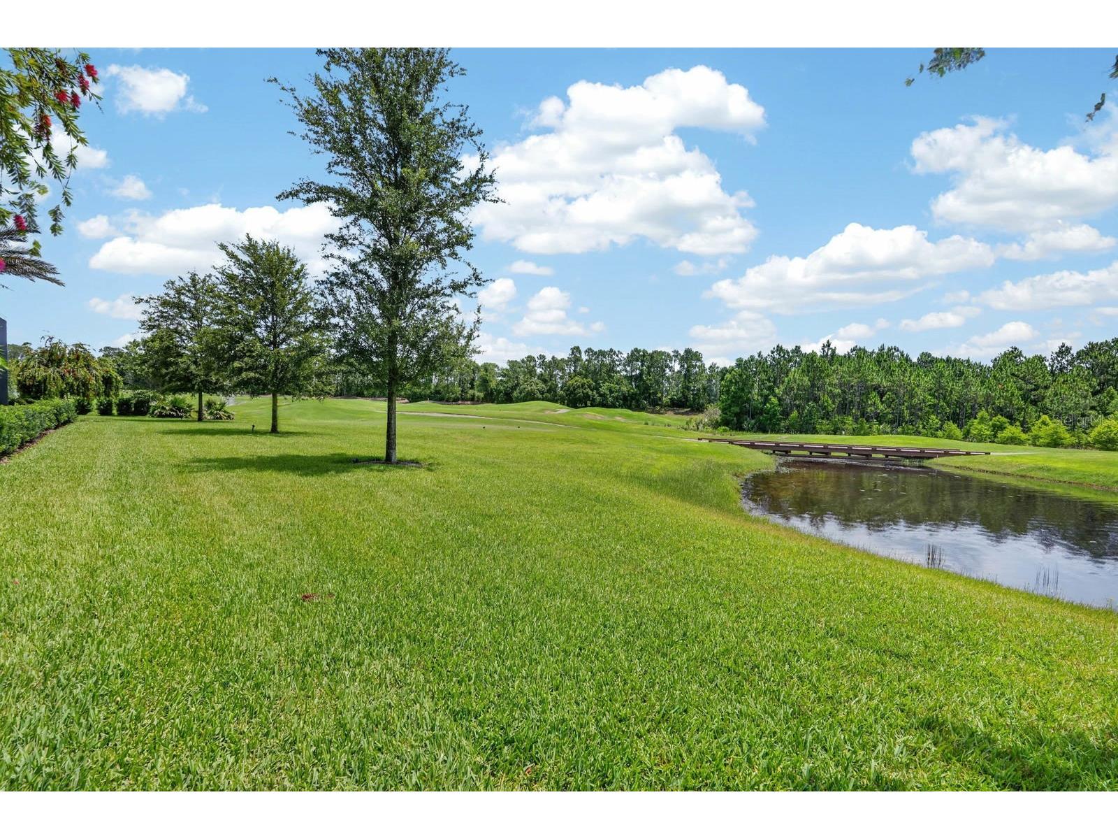 1023 Sudbury Lane Ormond Beach FL 32174 FC315077 image67
