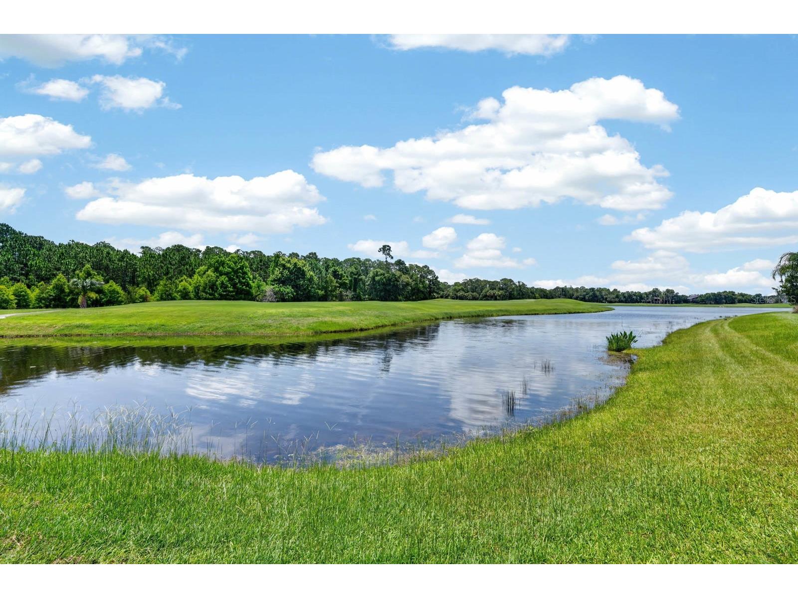 1023 Sudbury Lane Ormond Beach FL 32174 FC315077 image69