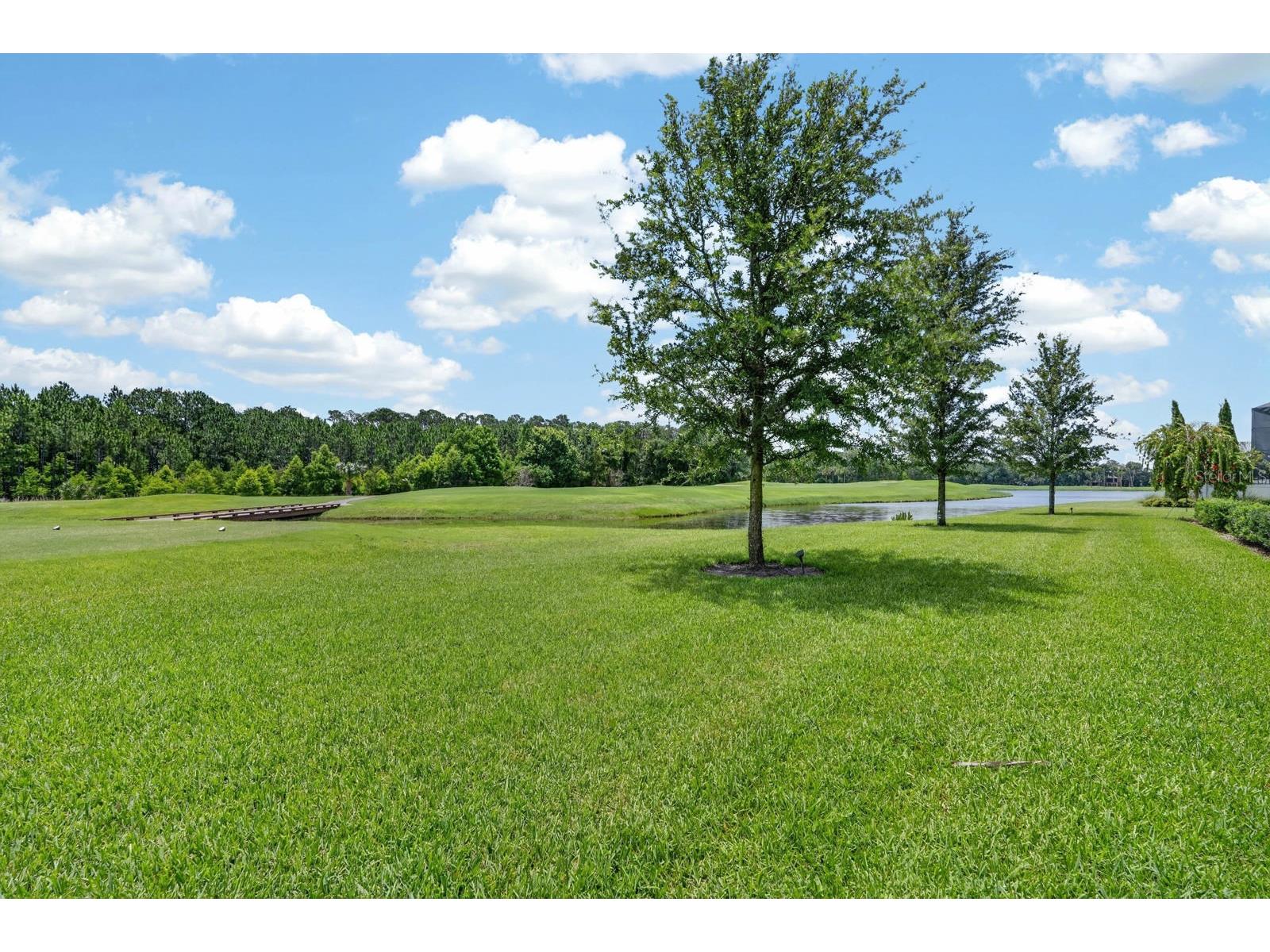 1023 Sudbury Lane Ormond Beach FL 32174 FC315077 image72