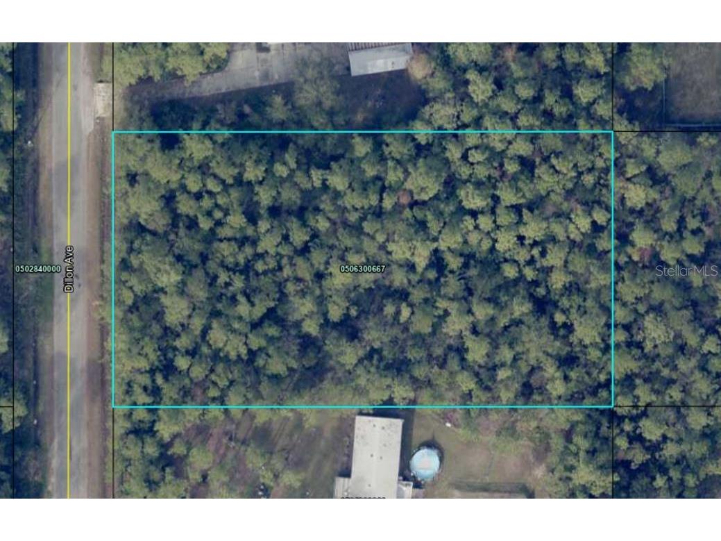 10230 Dillon Avenue Hastings FL 32145 FC309156 image1