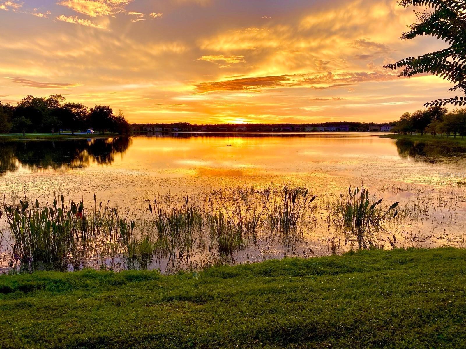 10230 Lake District Lane #37B Orlando FL 32832 O6408217 image11