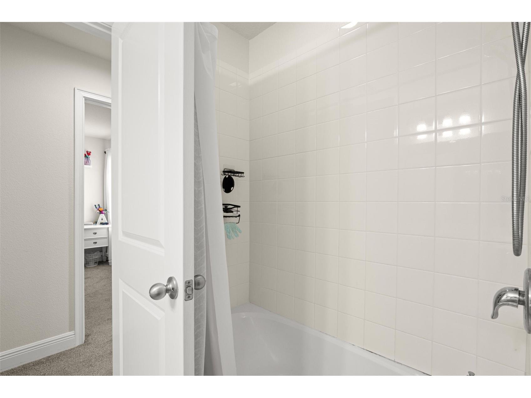 10230 Newel Valley Loop Riverview FL 33569 TB8504535 image30