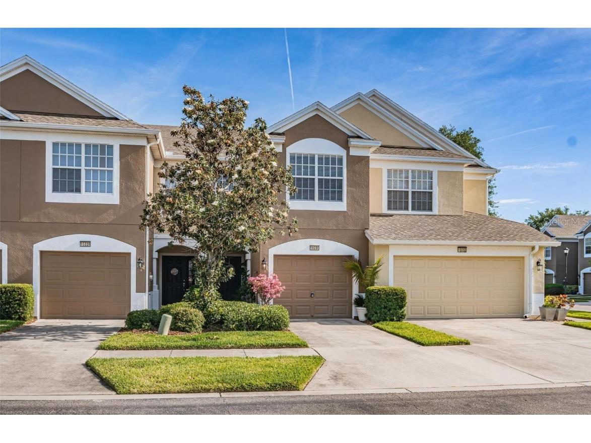 10230 Pink Palmata Court Riverview FL 33578 T3523206 image1