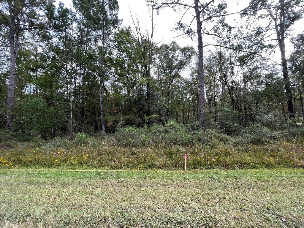 10230 Ruth Avenue Hastings FL 32145 OK223318 image1