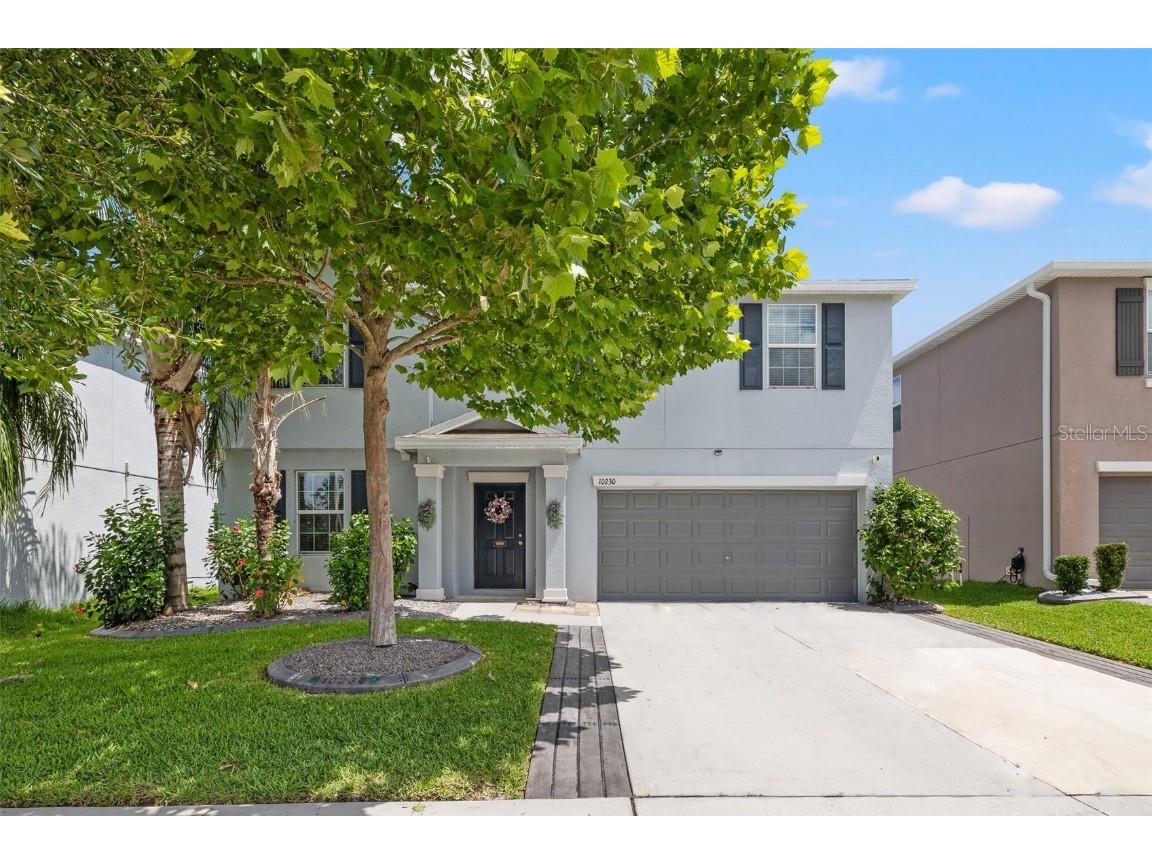 10230 Strawberry Tetra Drive Riverview FL 33578 T3533977 image1