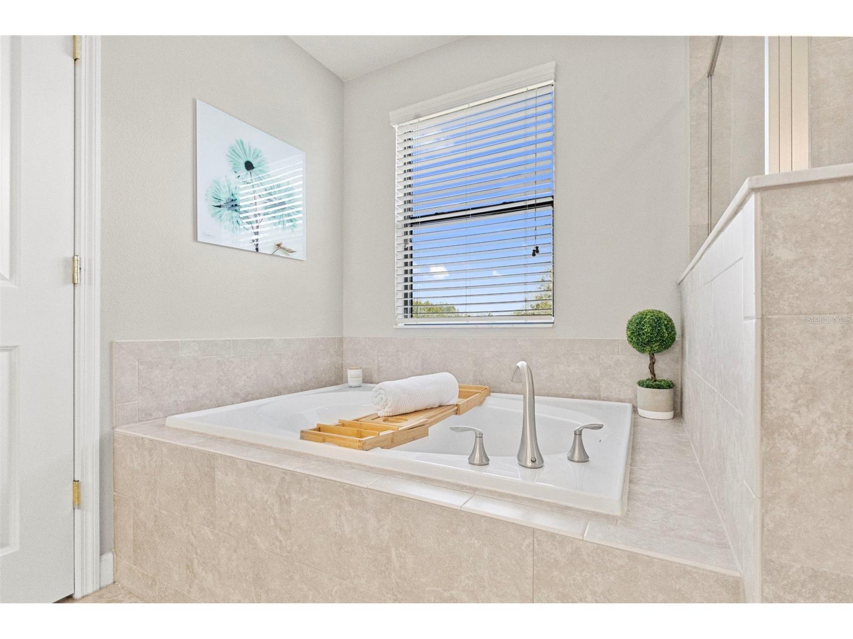 10231 Count Fleet Drive Ruskin FL 33573 TB8518530 image42
