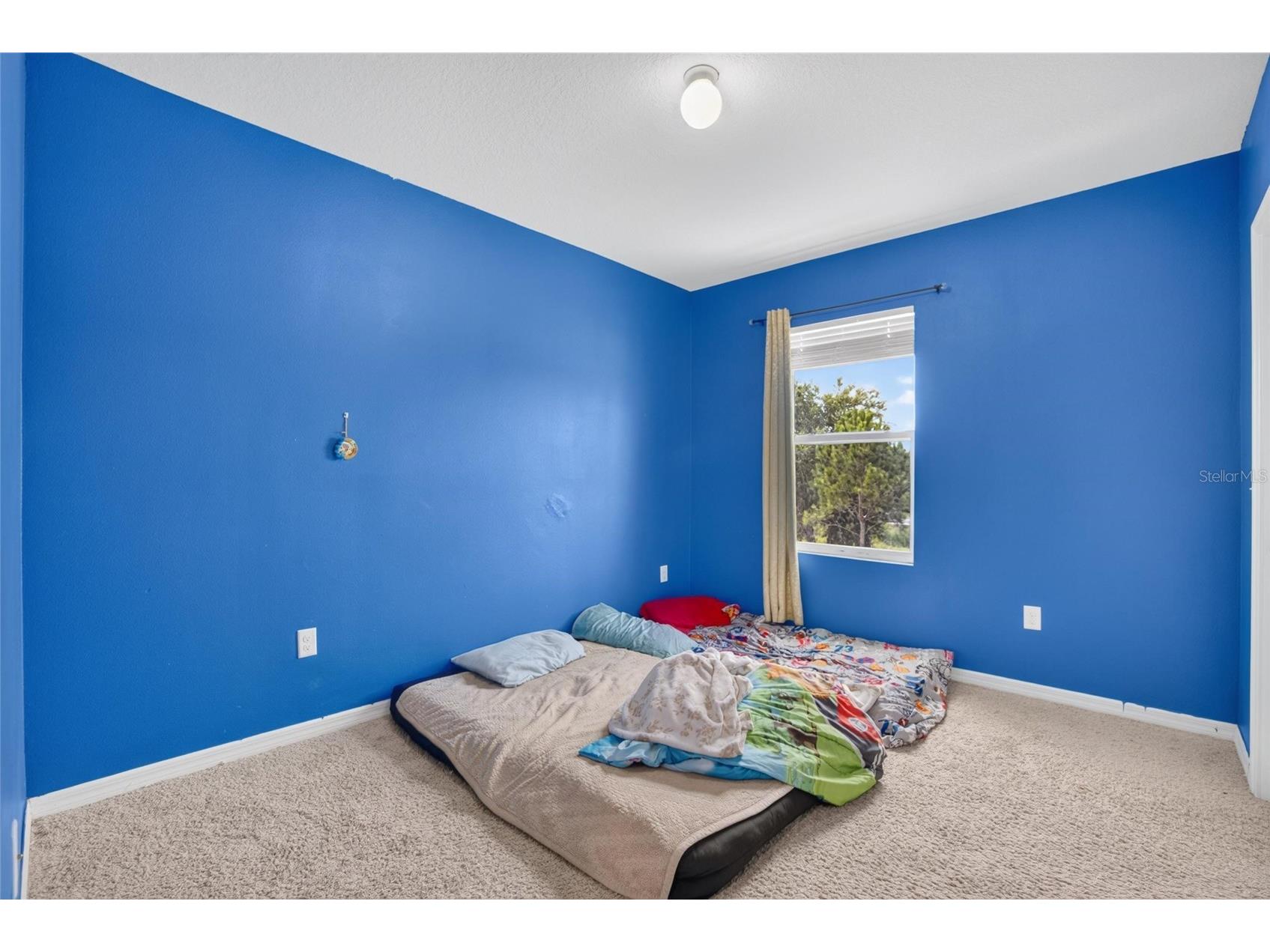 10231 Geese Trail Circle Sun City Center FL 33573 TB8525577 image24