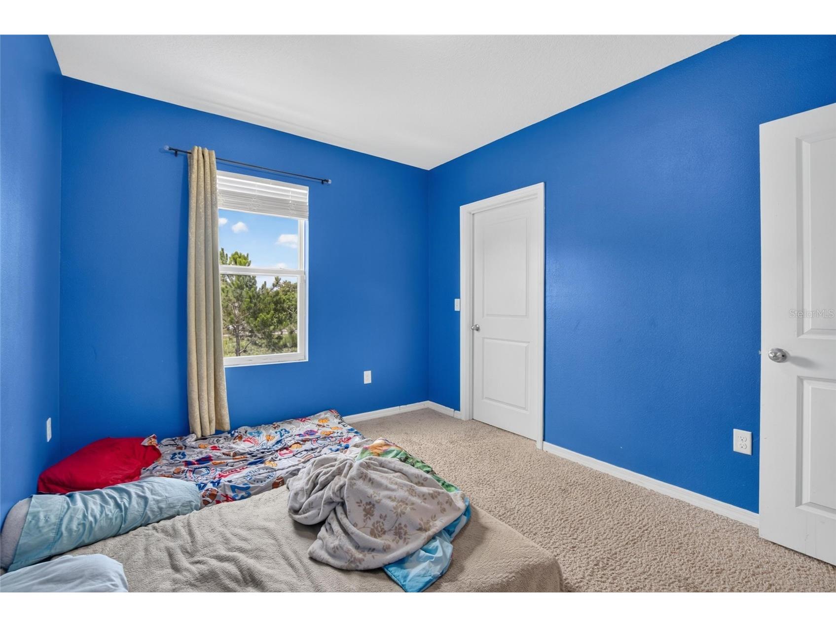 10231 Geese Trail Circle Sun City Center FL 33573 TB8525577 image25