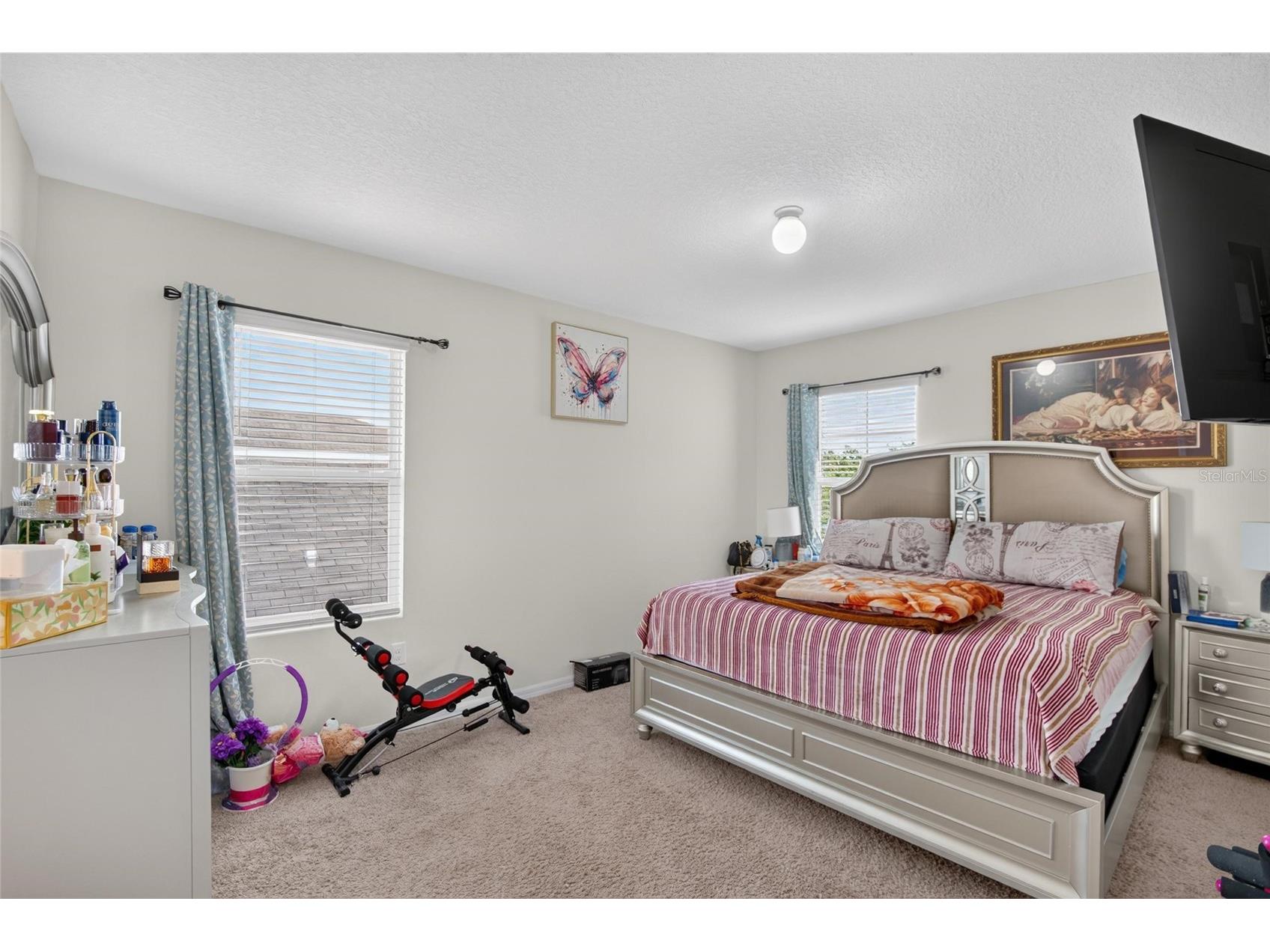 10231 Geese Trail Circle Sun City Center FL 33573 TB8525577 image33