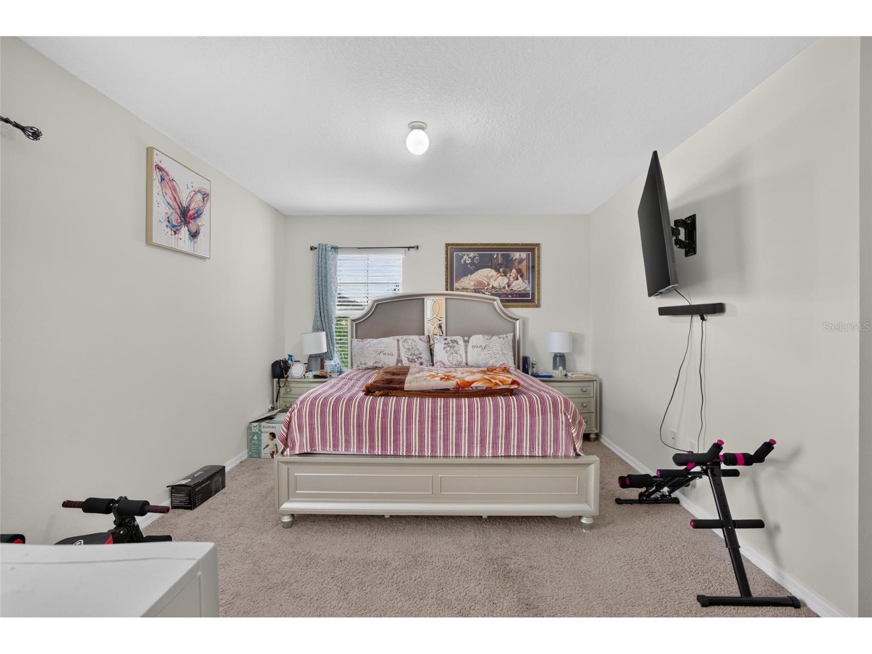 10231 Geese Trail Circle Sun City Center FL 33573 TB8525577 image34