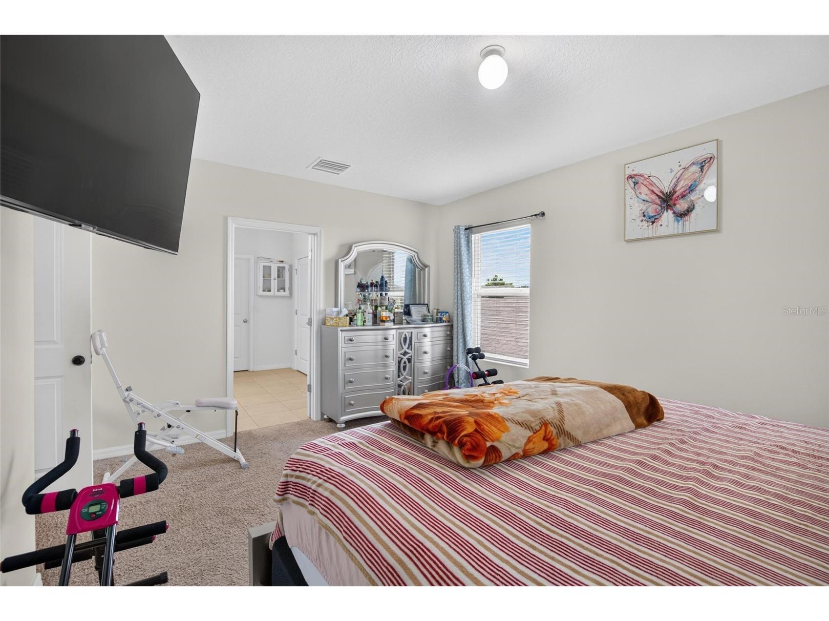 10231 Geese Trail Circle Sun City Center FL 33573 TB8525577 image35