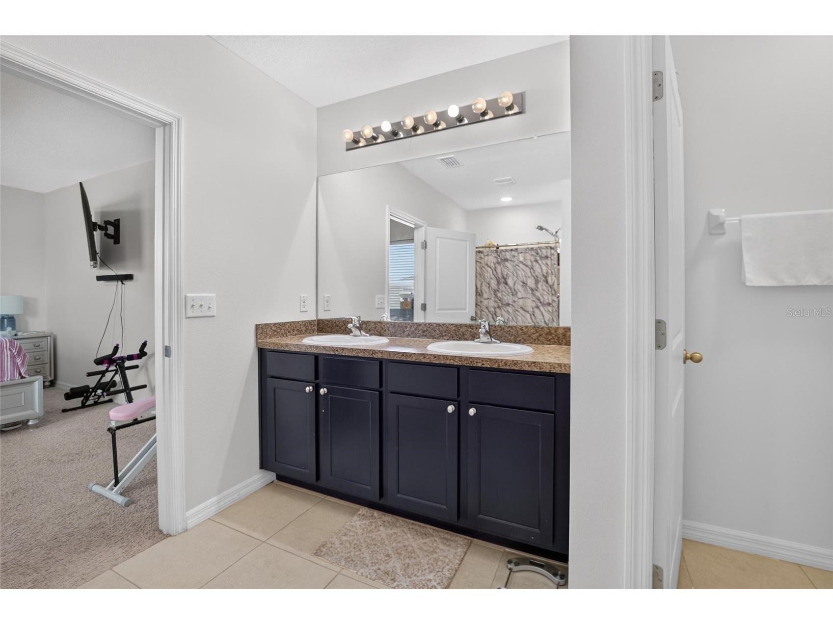 10231 Geese Trail Circle Sun City Center FL 33573 TB8525577 image38
