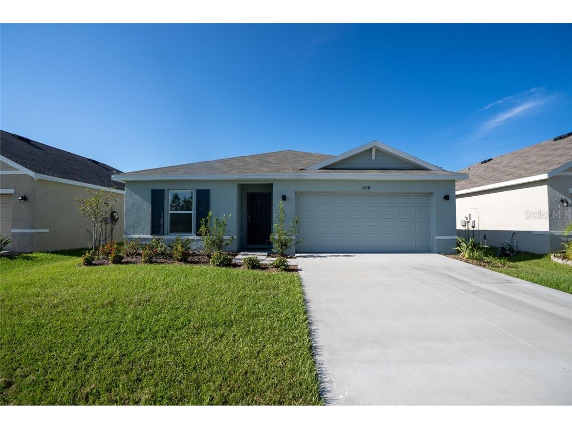 10231 Opaline Sky Court Riverview FL 33578 T3504716 image1