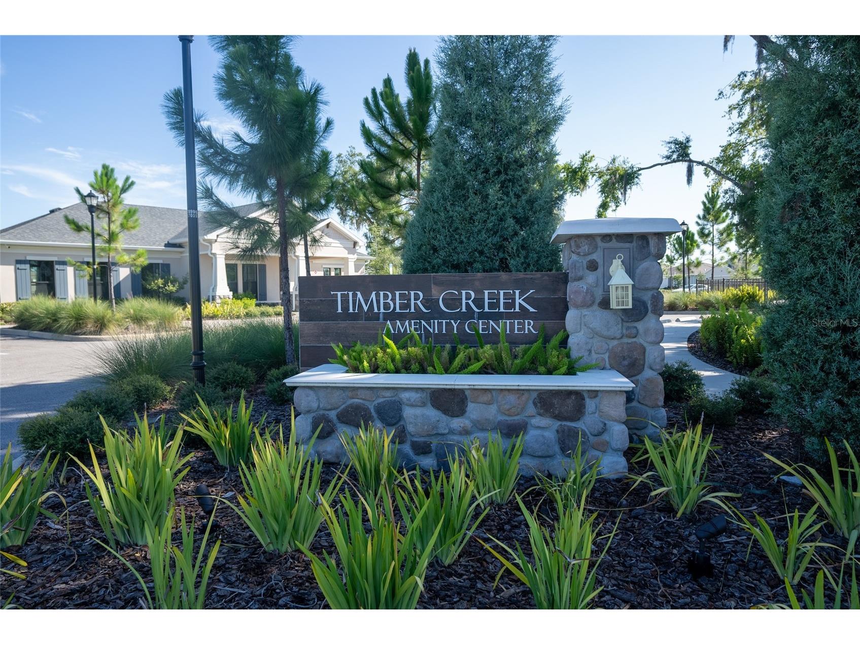 10231 Opaline Sky Court Riverview FL 33578 TB8488216 image11