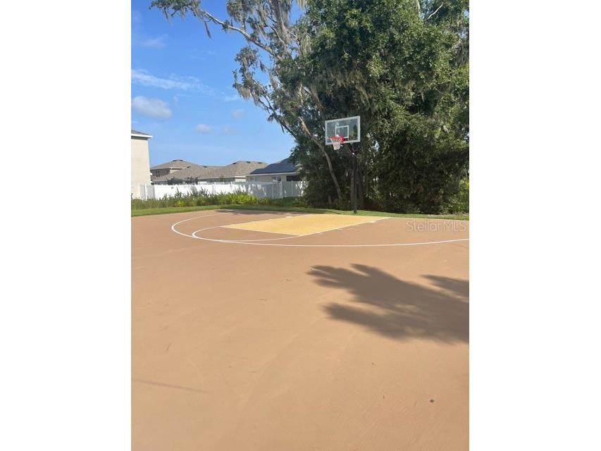 10231 Opaline Sky Court Riverview FL 33578 TB8488216 image12