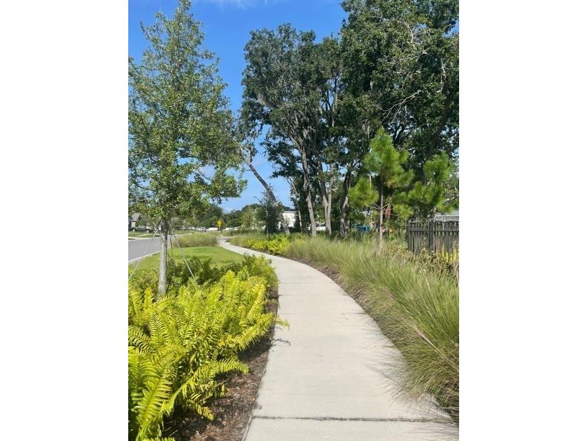 10231 Opaline Sky Court Riverview FL 33578 TB8488216 image18