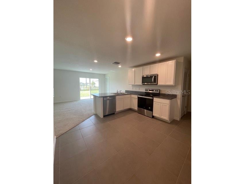 10231 Opaline Sky Court Riverview FL 33578 TB8488216 image3