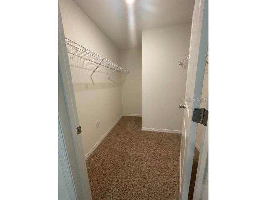 10231 Opaline Sky Court Riverview FL 33578 TB8488216 image6