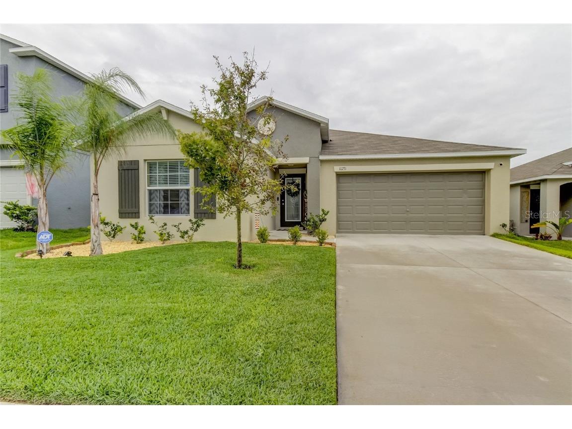 10231 Strawberry Tetra Drive Riverview FL 33578 U8147270 image1