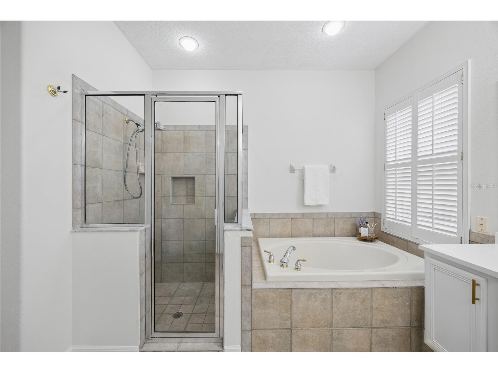 10232 Estuary Drive Tampa FL 33647 TB8512167 image18