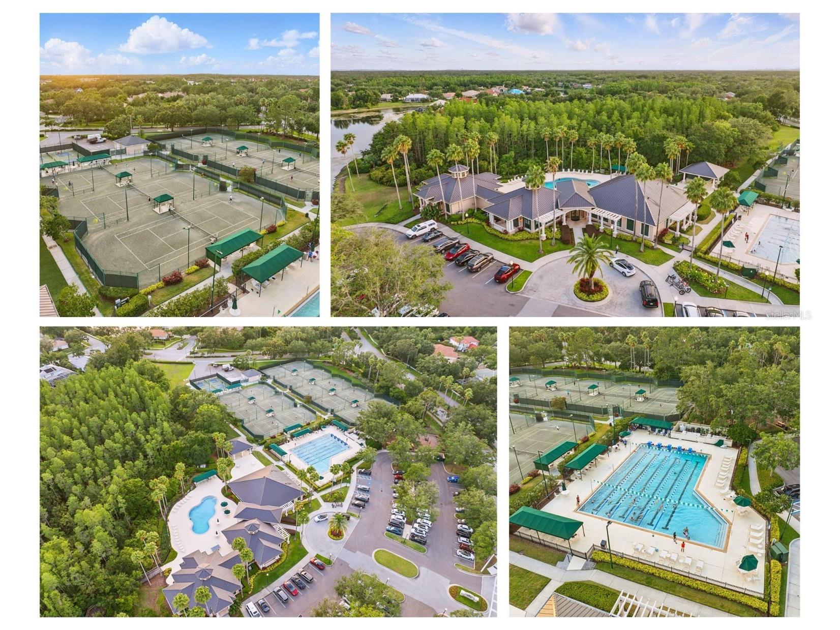 10232 Estuary Drive Tampa FL 33647 TB8512167 image3