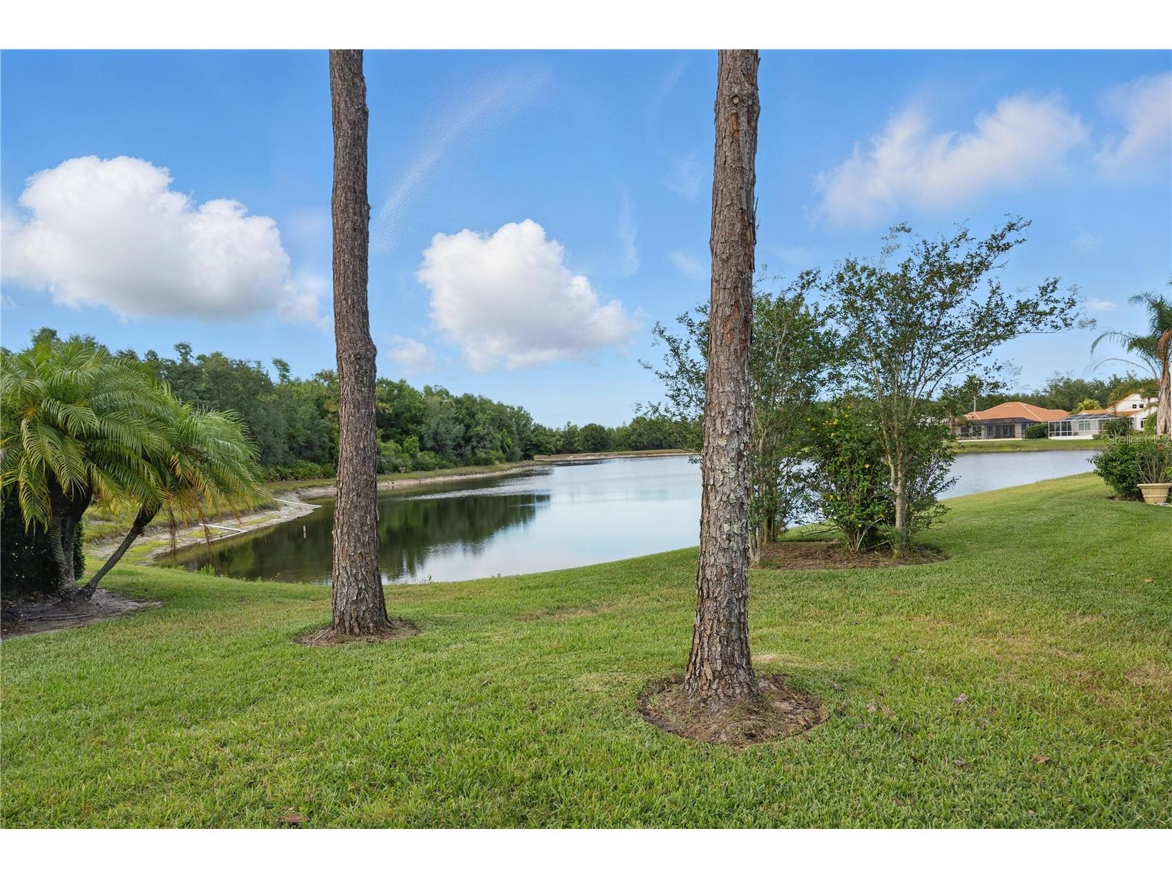 10232 Estuary Drive Tampa FL 33647 TB8512167 image31