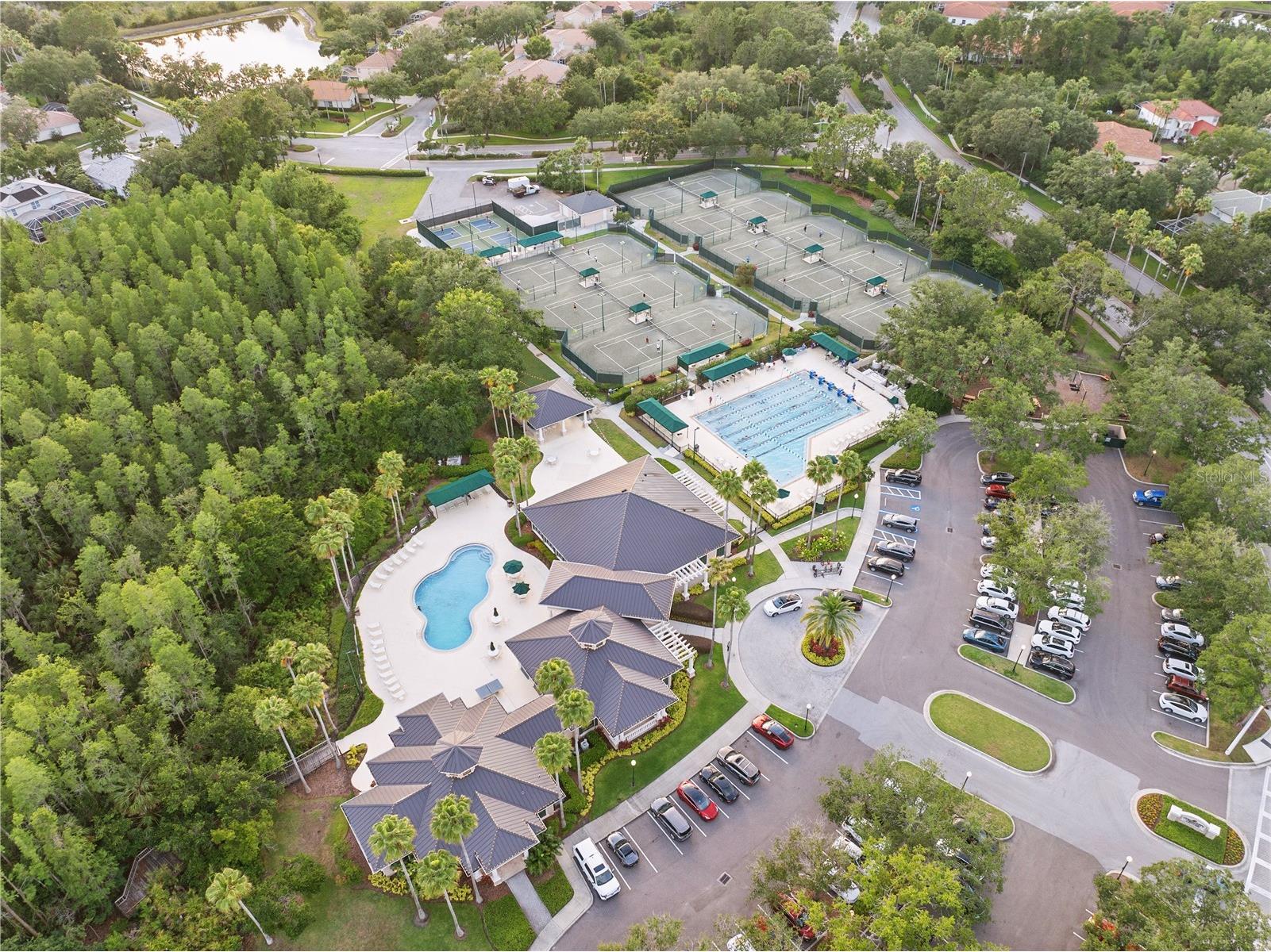10232 Estuary Drive Tampa FL 33647 TB8512167 image35