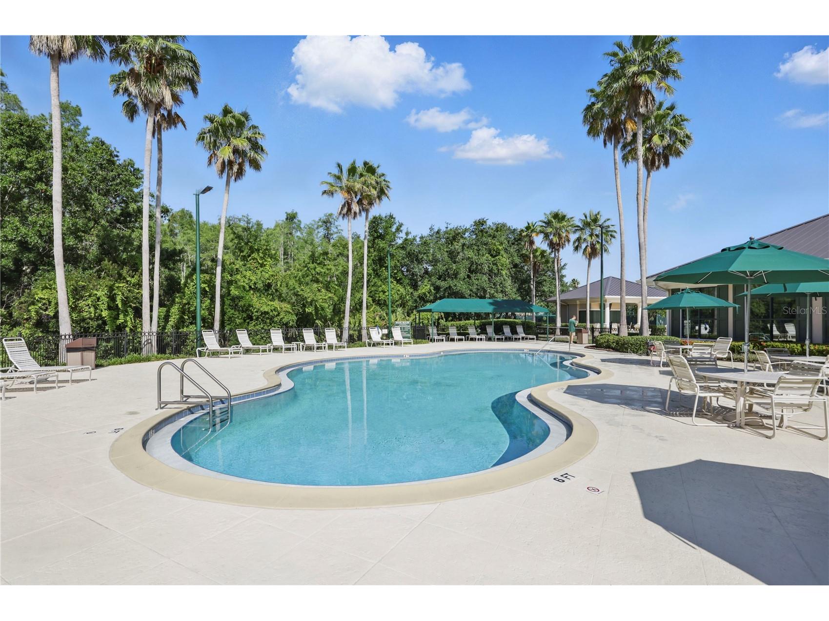 10232 Estuary Drive Tampa FL 33647 TB8512167 image37